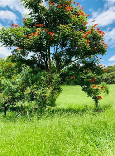 Imagem 7 de 10 de F16- 20000m A Venda Em Igaratá