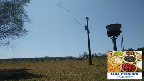 Imagem 7 de 7 de Fazenda À Venda Em Campo Grande - Ms - De 1.065 Hectares (pecuária) - 1658