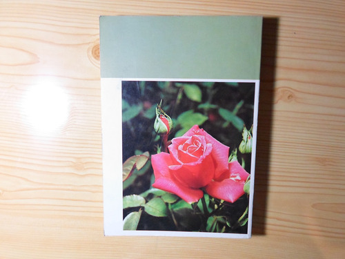 El Jardin - Editorial Ceac