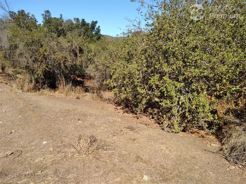 Parcela En Venta En Condominio Los Quillayes Quilpué