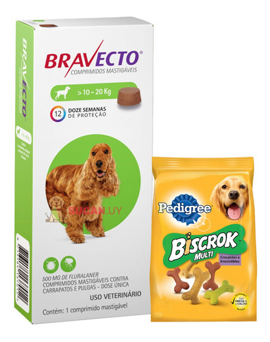 Pastilla Bravecto (3 Meses) - Perros 10 A 20 Kg