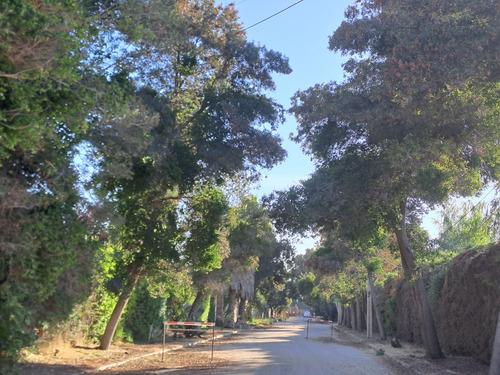 Parcela En Camino Loreto, Lonquén. Excelente Ubicación