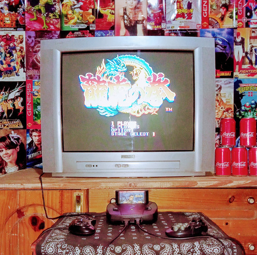 Cartucho De Sega Art Of Fighting
