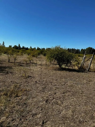 Oportunidad! Parcela De 6.500 M² En Bulnes