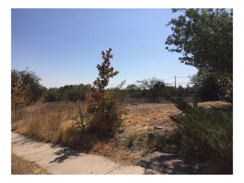 Imagen 9 de 12 de Sitio En Venta En Colina