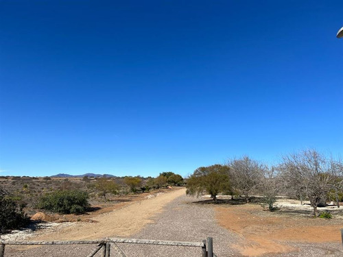 Terreno En Guanaquero 20ha-oportunidad Proyecto Inmobiliario