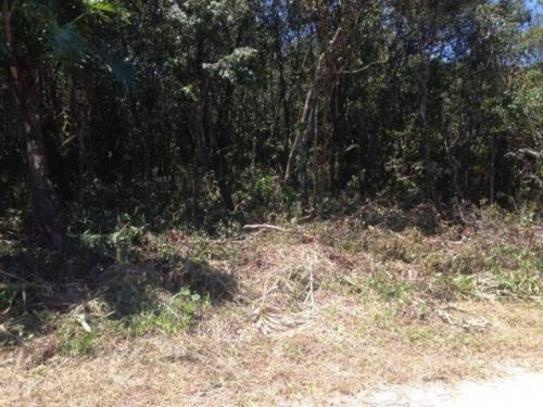 Terreno No Gaivota Medindo 250 Mts Em Itanhaém - 3519 Npc