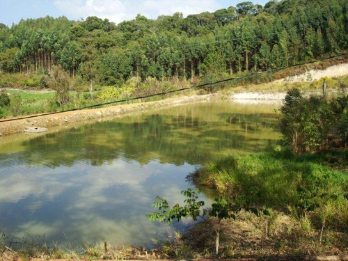 Imagem 13 de 14 de Maravilhoso Sitio 6.7 Alqueires / Com Açude
