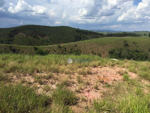 Imagem 7 de 10 de Terreno De 5000 M2, Vista Linda Da Cidade - Te2191