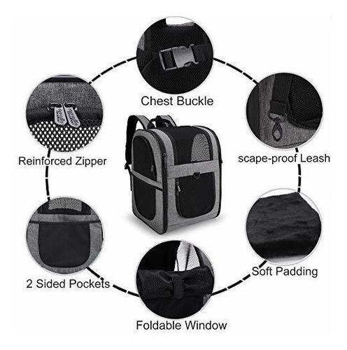 Apollo Walker Mochila Para Transporte Mascotas Para Gatos Y