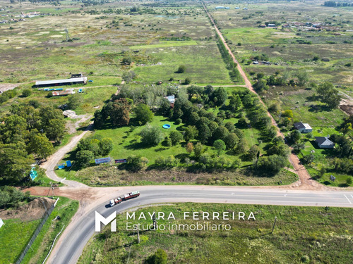 Venta De 4o Hectareas En Estaban Echeverria .canning