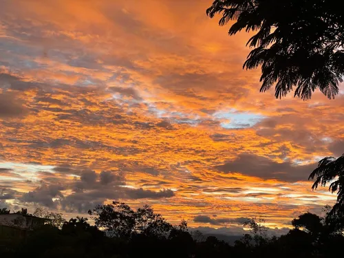 Venta De Finca De 21 Cuadras Cerca De Arabia