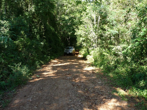 Dueño Vende 29ha, Con Título De Propiedad, 600mts De Costa Sobre El Río Uruguay, Arroyo Y Nacientes De Agua.