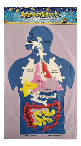 Goma Eva Cuerpo Humano Sistema Digestivo Aprendiendo