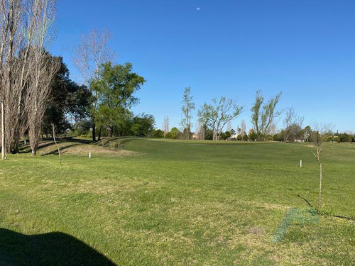 Terreno - Campo Grande