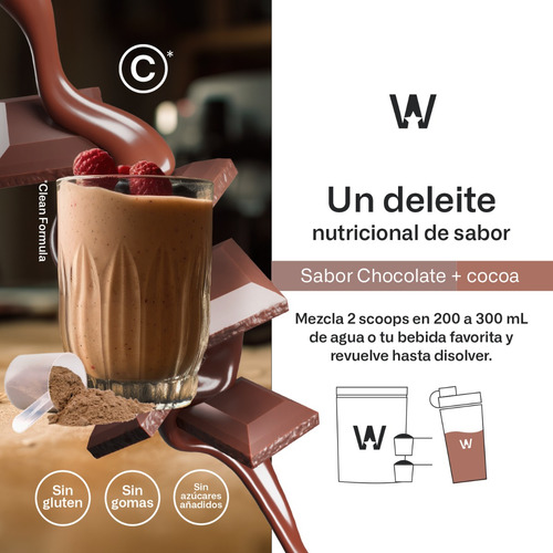 Suplemento Polvo Wellmade Proteina Whey Creatina Bcaas 1.3kg Sabor Chocolate Y Cocoa