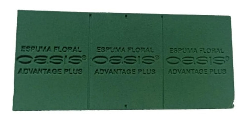 Oasis Espuma Floral Caja Con 3 Piezas