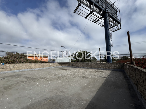 Casa Comercial Con Ingresos Activos