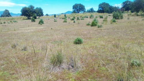 Tlaxcala , La Trasquila, Atlangatepec, Terreno, Venta