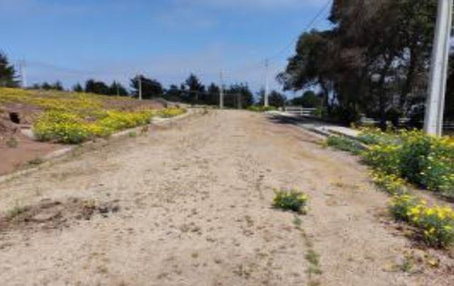 Industrial En Venta En Puchuncaví