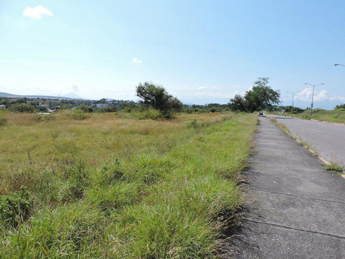 Imagen 8 de 14 de Atencion Inversionistas, Terreno En Venta Sobre Carretera Mé