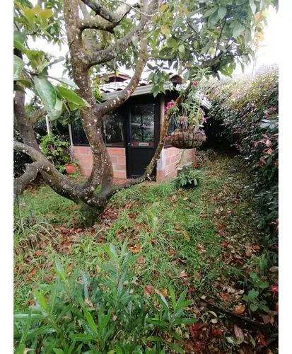 Venta De Finca En Guarne Vereda La Clara.