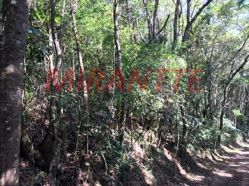 Imagem 3 de 4 de Terreno Em Serra Da Cantareira - Mairiporã, Sp - 359297