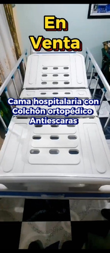 Cama Hospitalaria  Con Colchón Ortopédico Antiescaras 