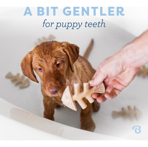 Juguete Masticable Para Perros Benebone Puppy Fishbone, Más