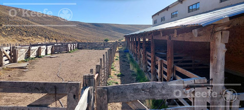 Campo Estancia En Venta De 5300 Has En Patagonia Bariloche.