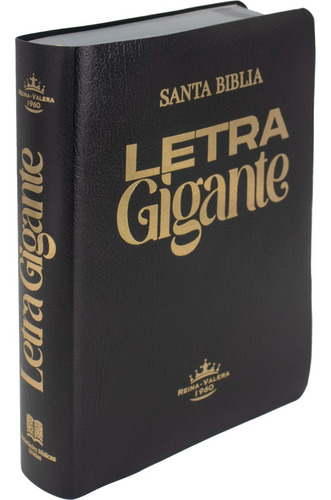 Biblia Rvr 1960 Letra Gigante 14 Puntos Concordancia Negro