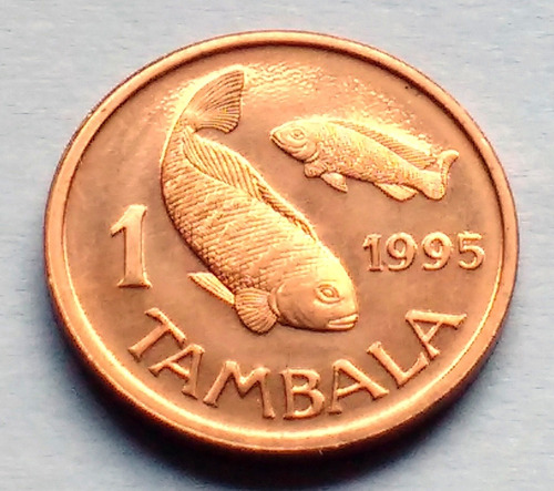 Moneda De Malawi, 1 Tambala 1995. Sin Circular.