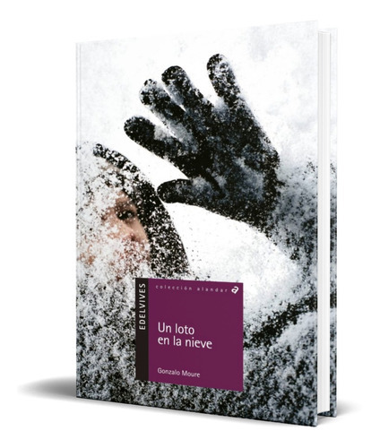 Un Loto En La Nieve, De Gonzalo Moure. Editorial Luis Vives, Tapa Blanda En Español, 2004