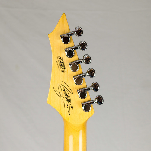 Cort Arena 1 Matthias Jabs Signature (Usado)