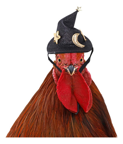 Gorro De Pollo Para Gallina, Mini Accesorios Para Mascotas,