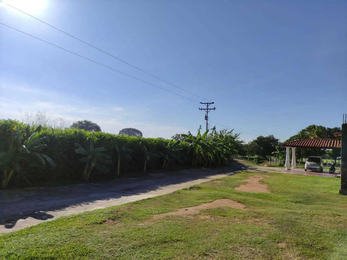 Imagen 8 de 30 de Se Vende Finca Ganadera En El Estado Barinas