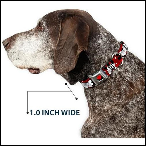 Collar De Perros Del Cinturón De Seguridad De La Hebilla & &