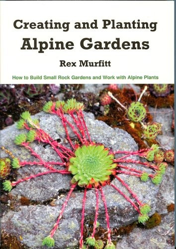 Creando Y Plantando Jardines Alpinos Como Construir Pequenos