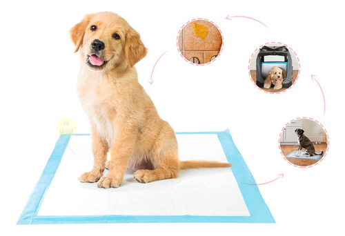 Pañales Entrenadores Para Perro Pads Desechables Mascotas