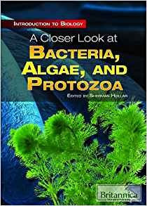 A Closer Look At Bacteria, Algae, And Protozoa (introduction