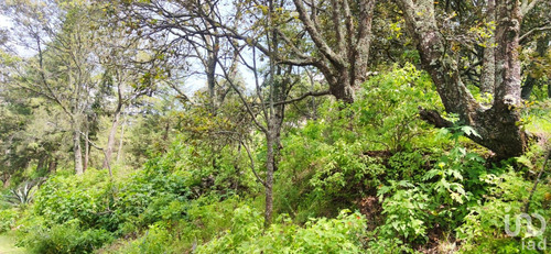 Venta Terreno 0 Ambiente San José De Los Encinos (las Cabañas)