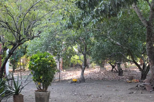 Finca En Piedras Tolima En La Zona Urbana