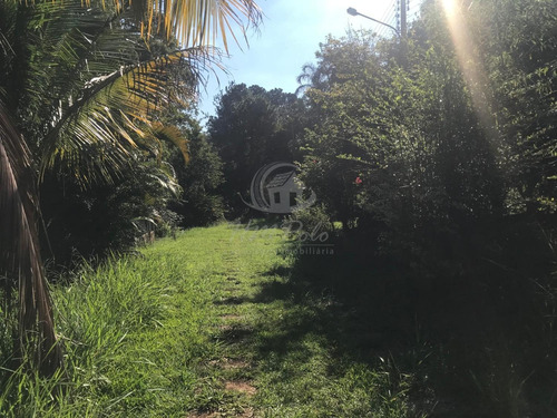 Imagem 7 de 10 de Chácara À Venda Em Vila Ipê - Ch034430