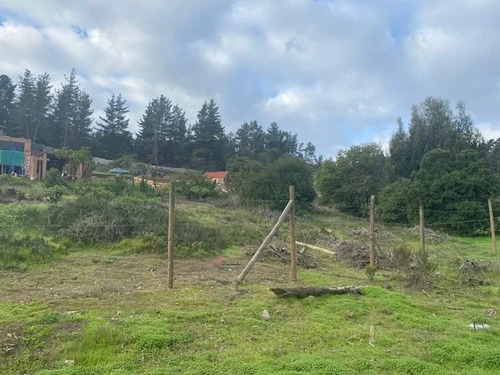 Sitio En Los Pinos