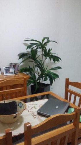 Imagem 6 de 14 de Apartamento Lindo Lado Praia E Com Piscina-itanhaém 2389|npc