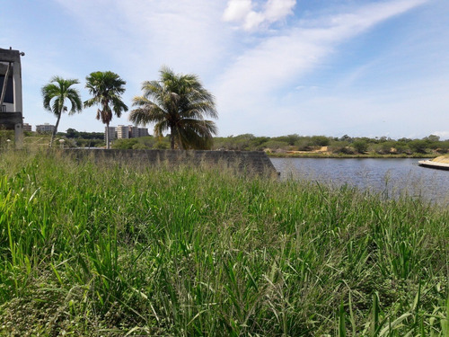 Imagen 4 de 13 de Terreno En Venta Higuerote Puerto Encantado