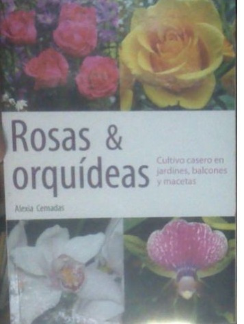 Rosas Y Orquídeas - Alexia Cernadas - Cultivo Casero - B750