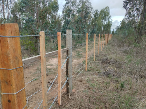 Alambrador De Ley Y Malla Electrosoldada
