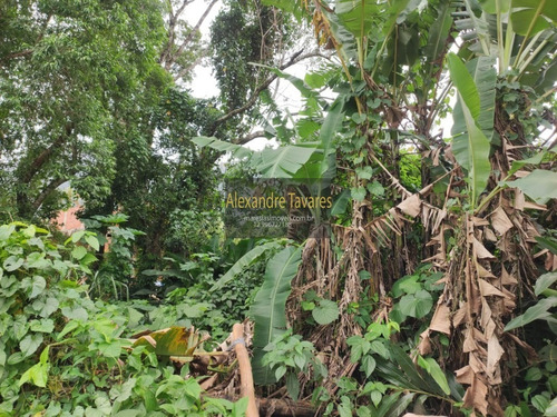 Imagem 2 de 4 de Excelente Terreno Para Investimento! Praia De Maresias / Sp. - Te00020 - 71014276