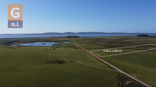 Campos Y Fracciones En Punta Del Este (laguna Del Sauce) - Ref. 4618